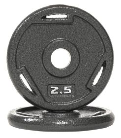 Cast Iron Flat Weight Plates For Strength Training And Weight Lifting, Olympic Or Standard, Multiple Sizes (Option: Two point five)